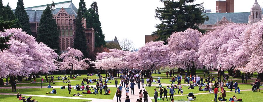 UW Quad