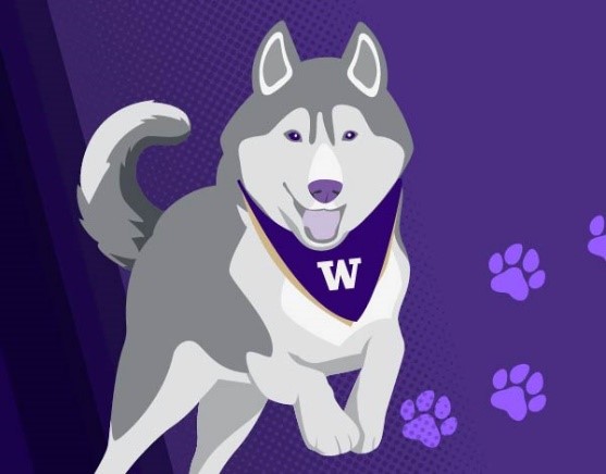 Huskies BOW DOWN Dog Bandana// University of Washington UW// 