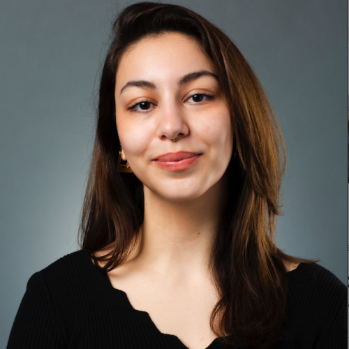 headshot of bahar against a gray background