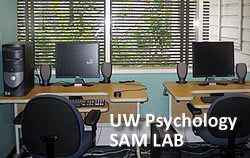Photo of computer work stations in the Sam Lab.